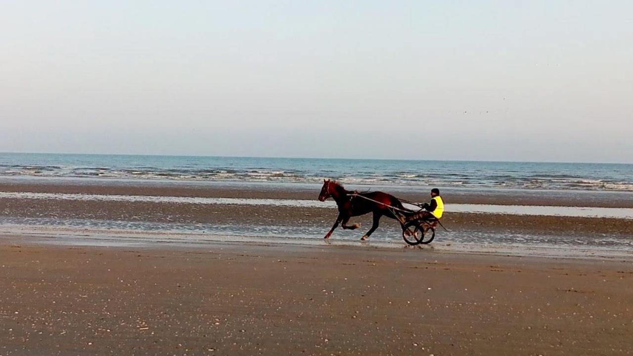 Chez Gigi Bed and Breakfast Merville-Franceville-Plage Buitenkant foto