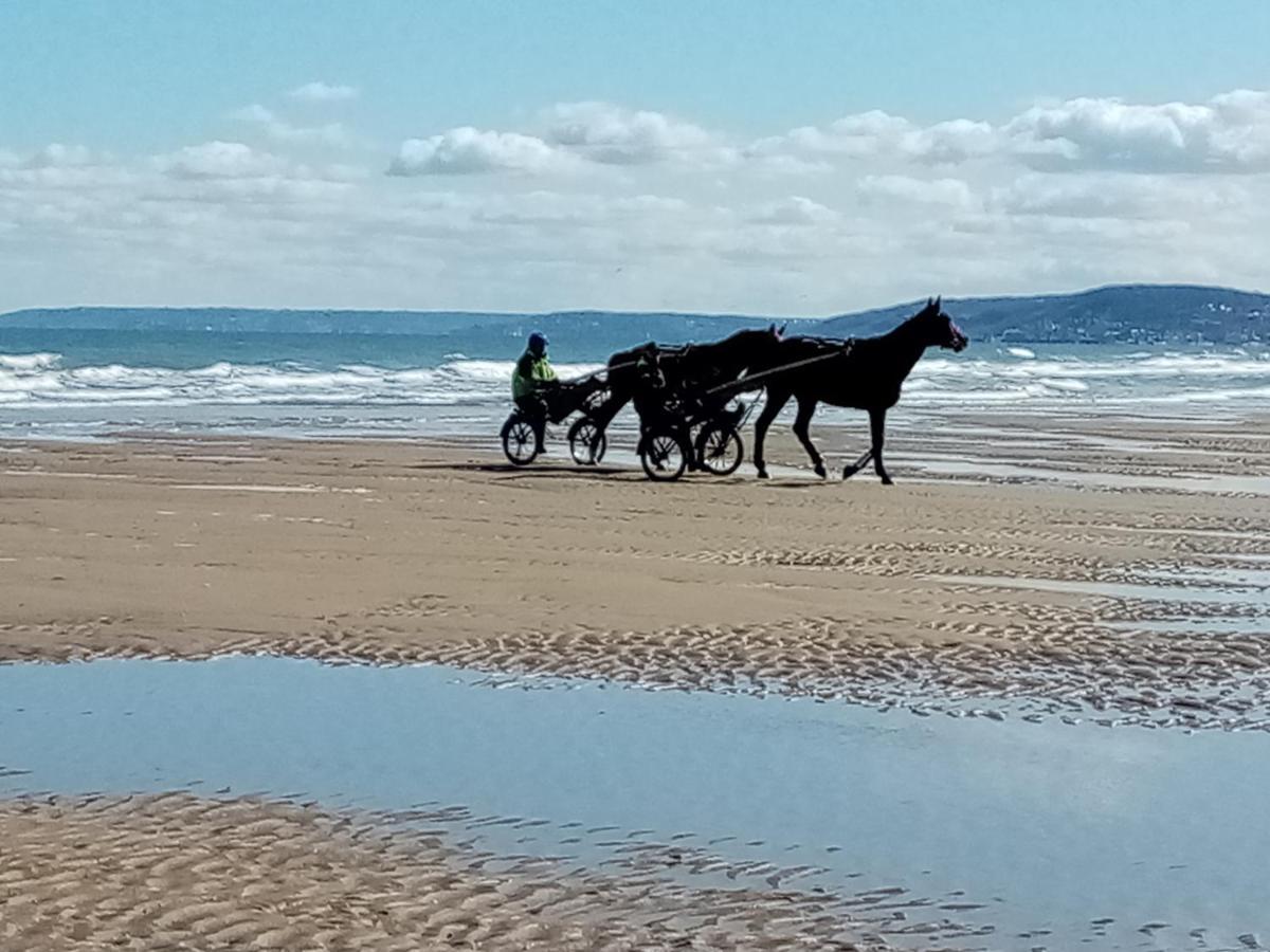 Chez Gigi Bed and Breakfast Merville-Franceville-Plage Buitenkant foto